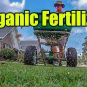 Dr. Earth Lawn Fertilizer Review 2020