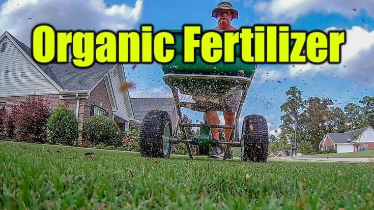 Dr. Earth Lawn Fertilizer Review 2021 - Organize With Sandy