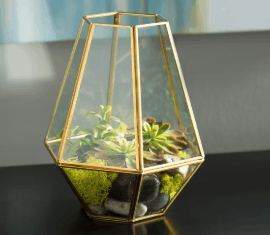 Glass Garden Terrarium Ideas