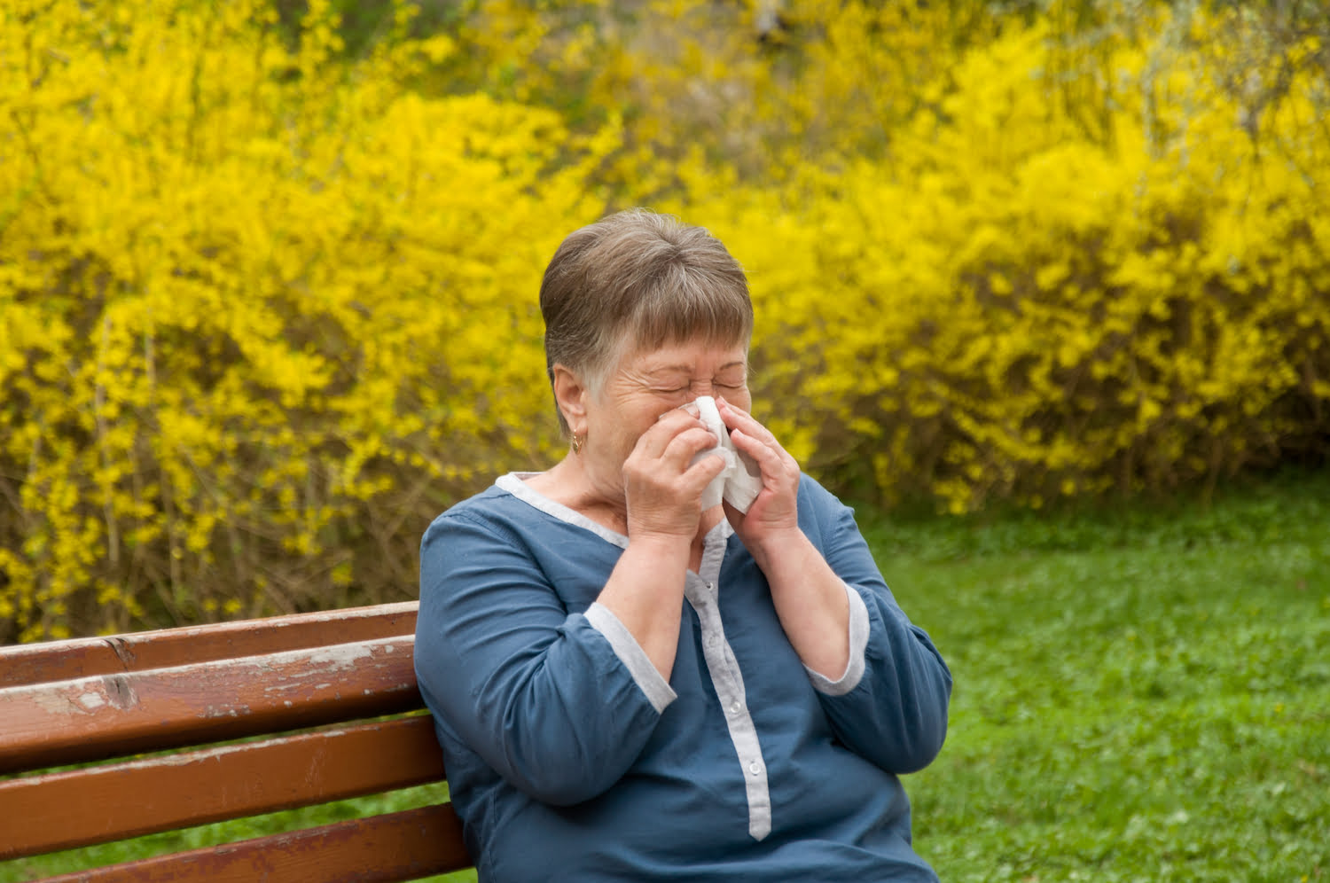 How Long Do Grass Allergies Last Organize With Sandy