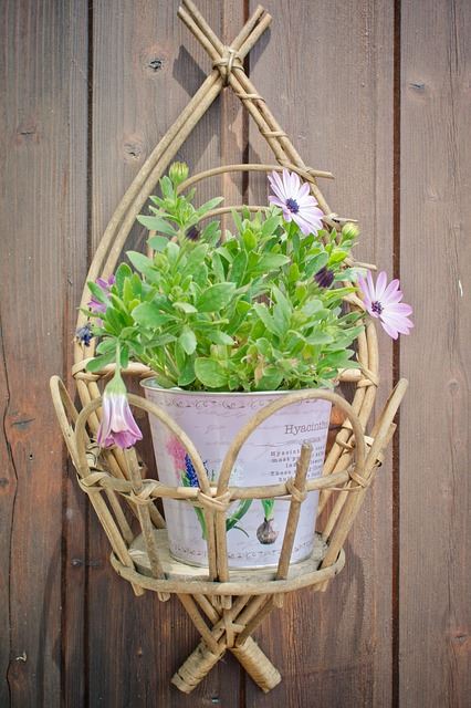 Hanging Baskets