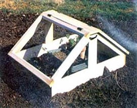 Hinged Top Cold Frame