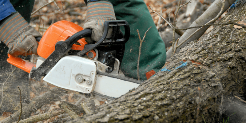 How Does a Chainsaw Work? 