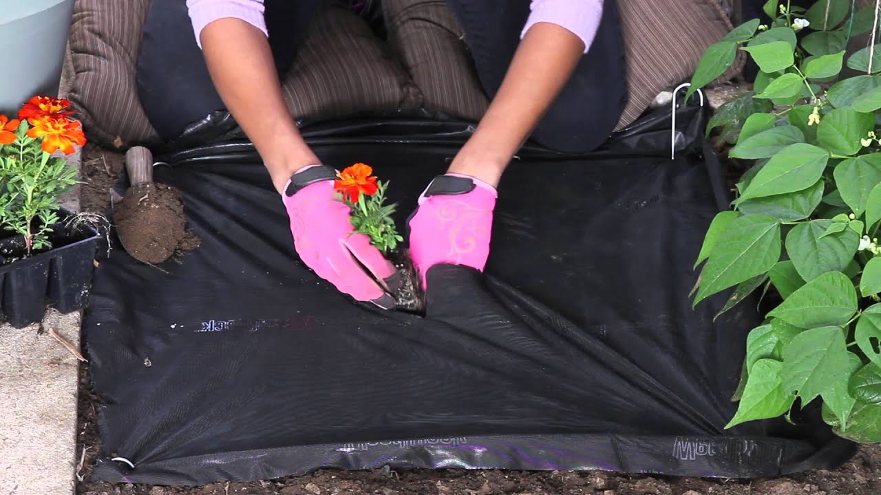 How to Use Garden Fabric or Covers? Organize With Sandy