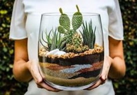 Layered Desert Terrarium