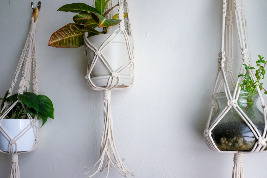 Macramé Plant Hangers