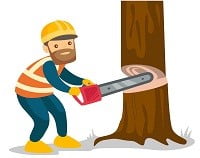 Man Cutting Wood