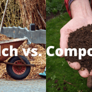 Mulch vs. Compost: What's the Difference & Which is the Best 