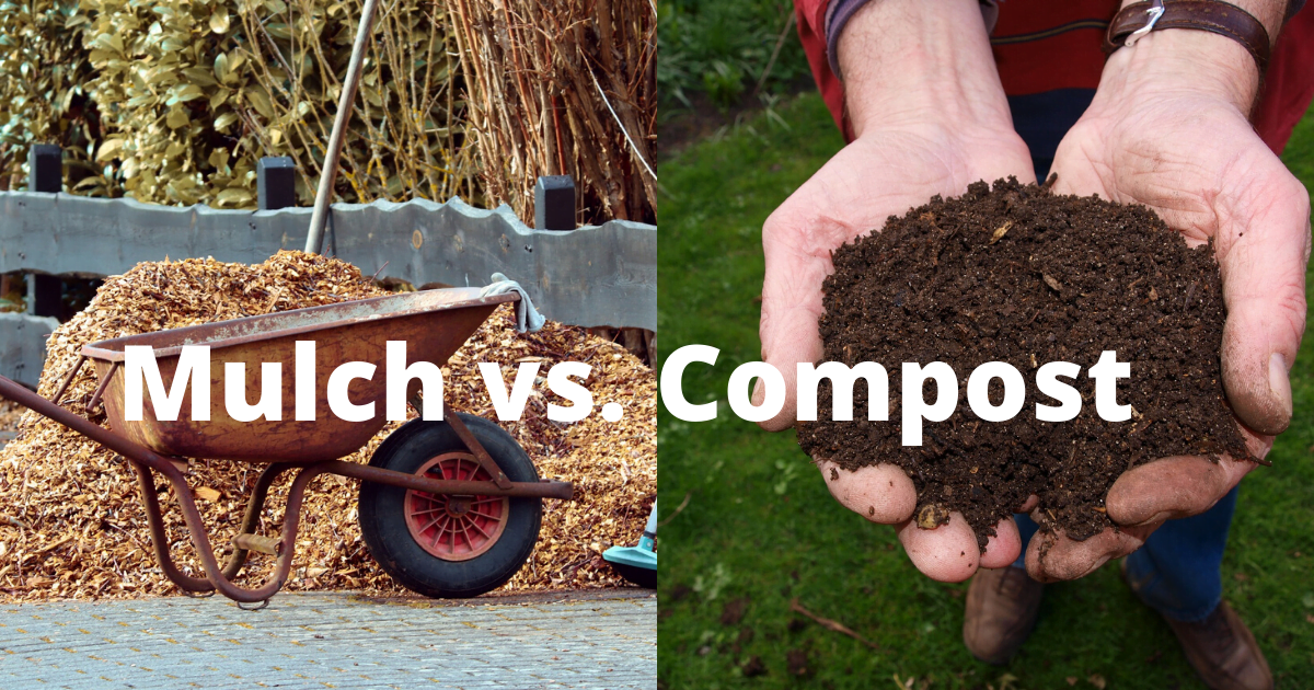 What is Mulch? A Brief Discussion About Mulching Organize With Sandy