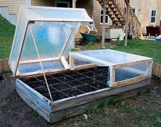Pallet and Window Cold Frame