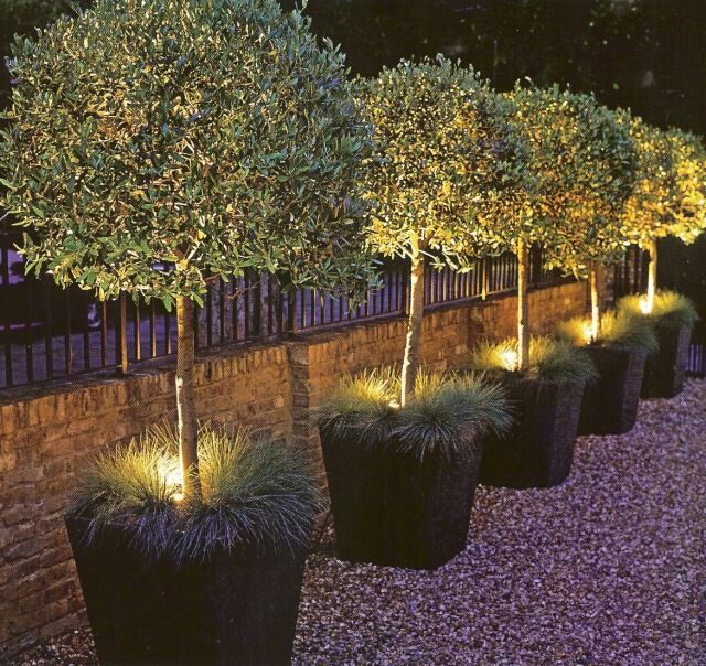 Planter Lights