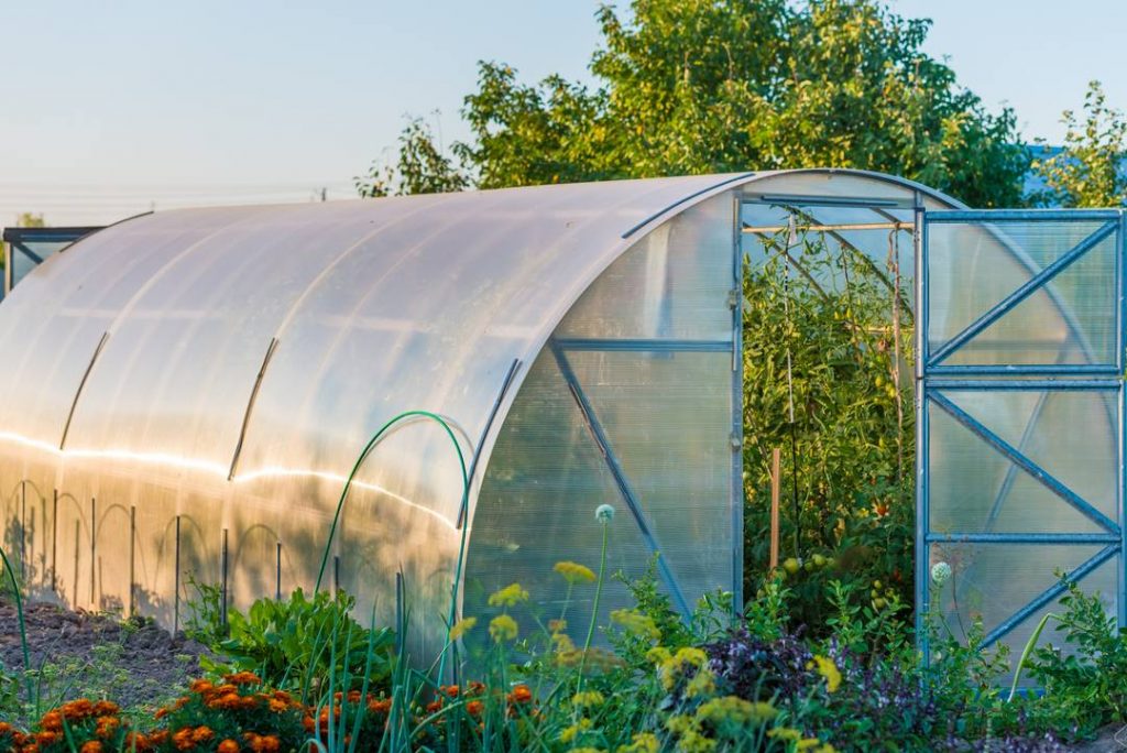 Poly-Tunnel Greenhouse