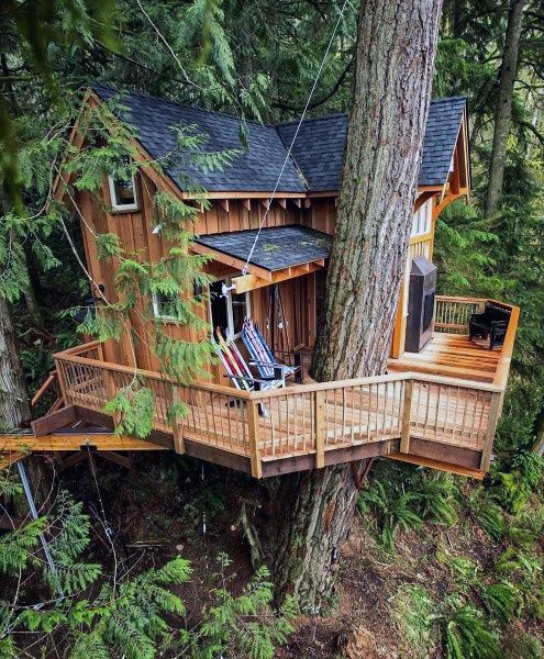 Pre-Placed Treehouse Ideas