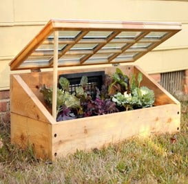 Salvaged Window Cold Frame