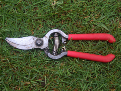 Sharpening Pruning Shears With the help of a File
