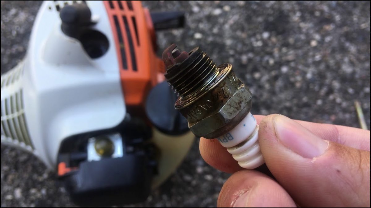 Weed Eater Not Starting? Here's How to Fix It Organize With Sandy