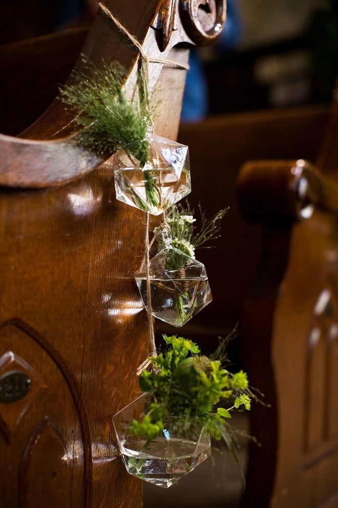 Terrariums with Water