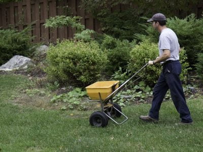 The Right Time to Fertilize Your Lawn