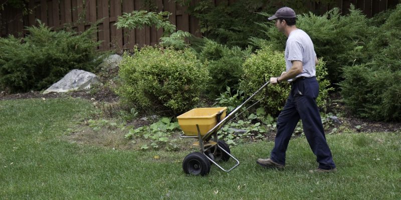 The Right Time to Fertilize Your Lawn