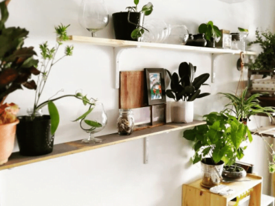 12 DIY Plant Stands & Shelves to Showcase Your Indoor Garden 