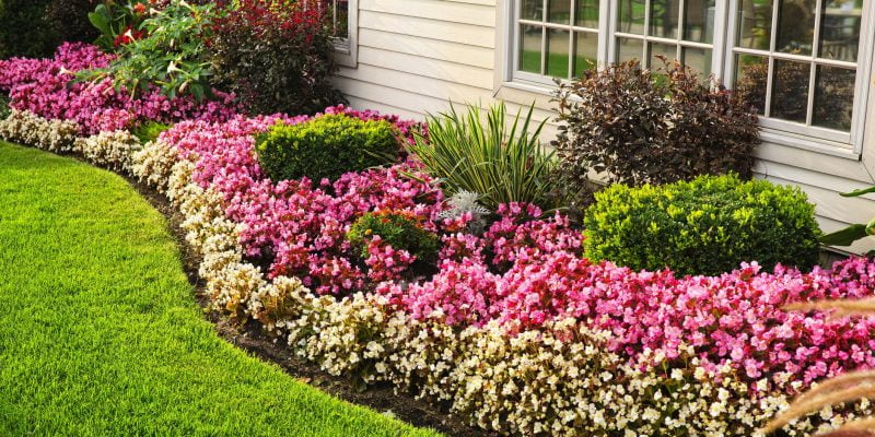 18 Garden Bed Edging Ideas That You Need to See 