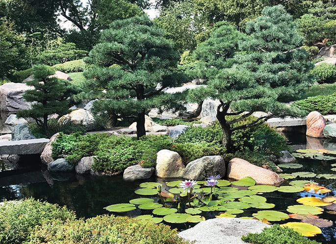 A Large Water Pond with a Garden