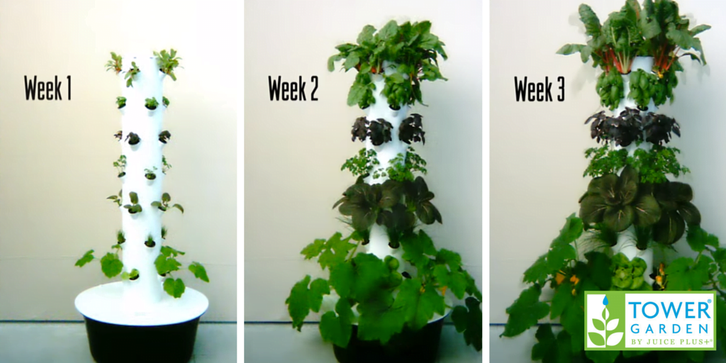 Aeroponic Tower Garden