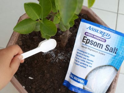 Are Epsom Salts Good for Your Garden