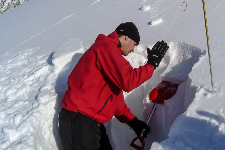 Best Avalanche Shovels 2021 Review Organize With Sandy