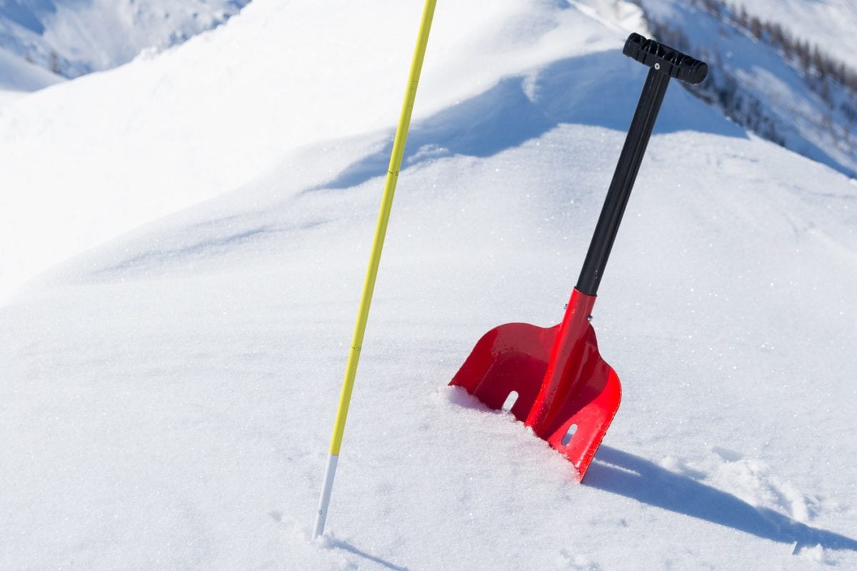 Best Avalanche Shovels 2021 Review Organize With Sandy