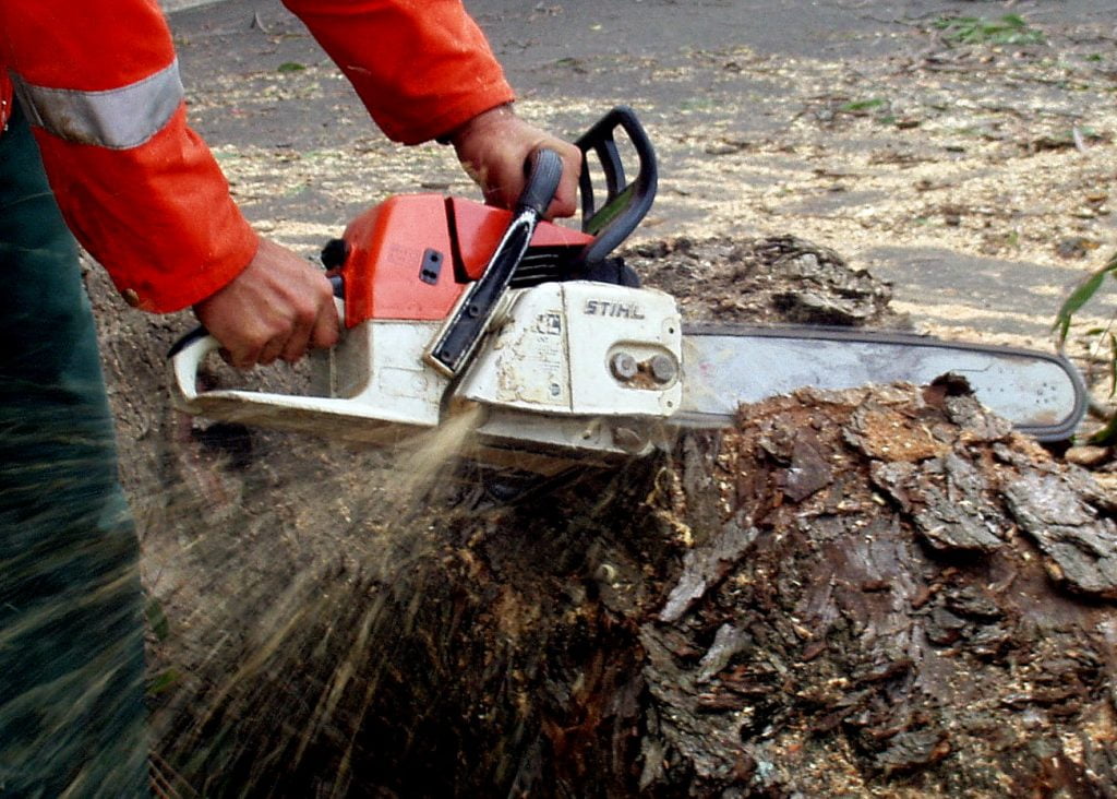 Chainsaw Cutting Log
