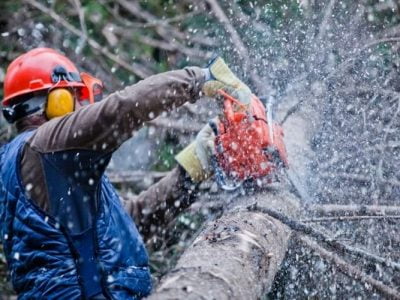 Chainsaw Noise – Protect Yourself and Vibration Hazards 