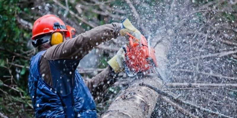 Chainsaw Noise – Protect Yourself and Vibration Hazards 