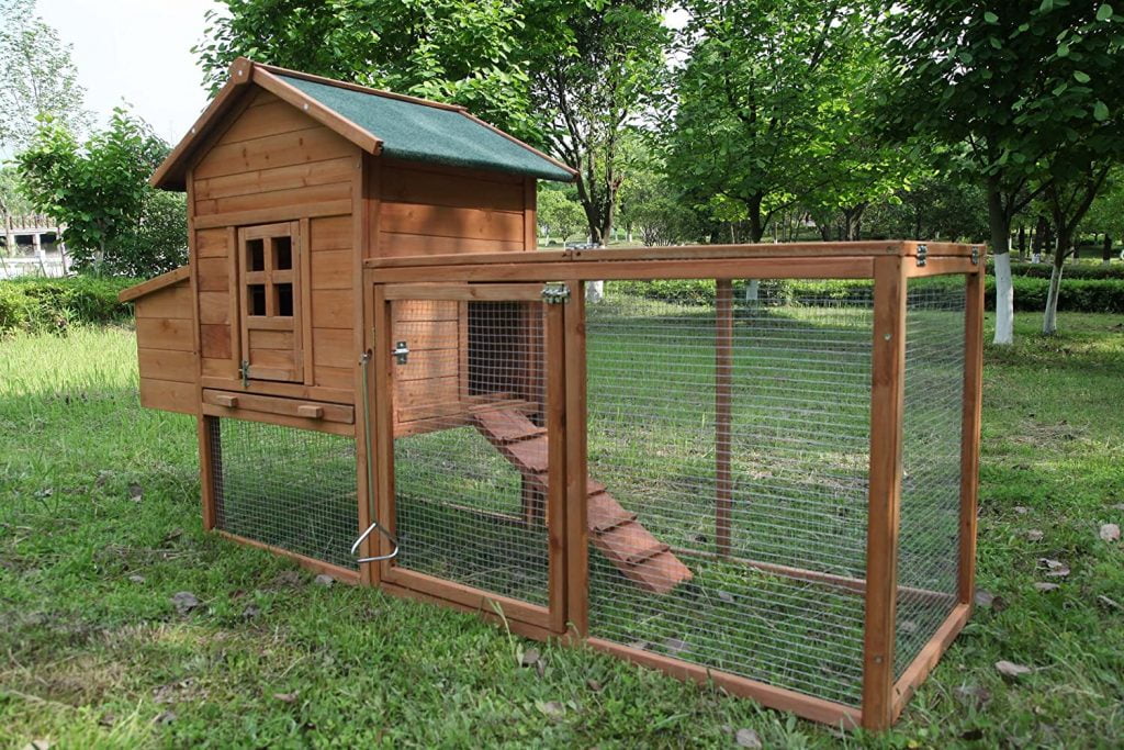 Chicken Coop