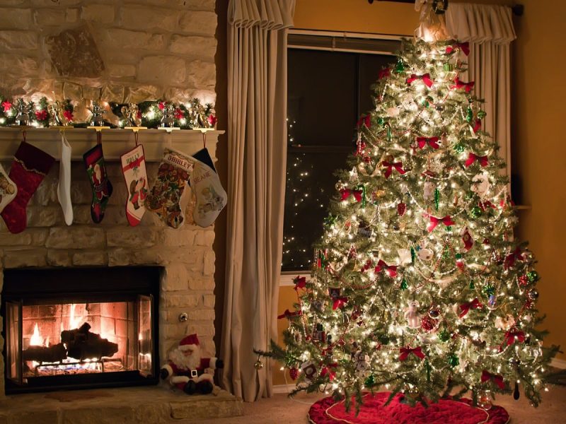 How to Take Care of a Live Christmas Tree? - Organize With Sandy