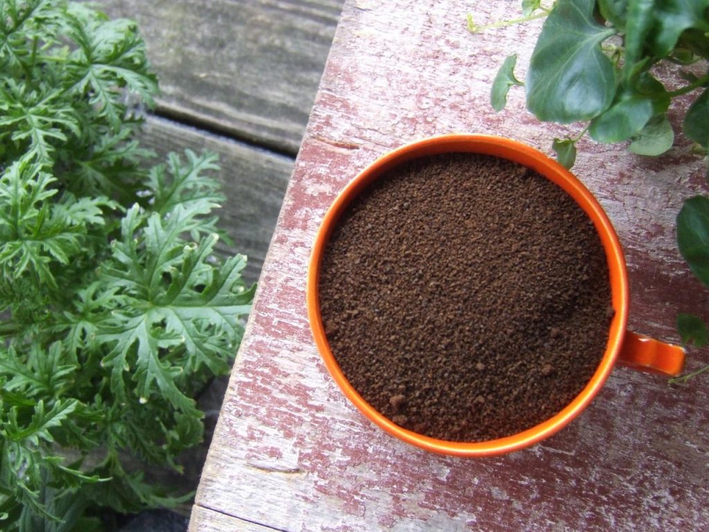Coffee Ground to Your Garden