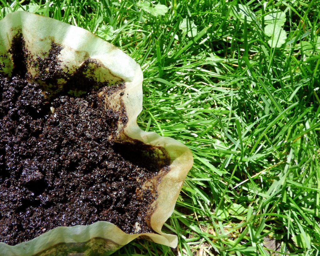 Coffee Grounds as Fertilizers