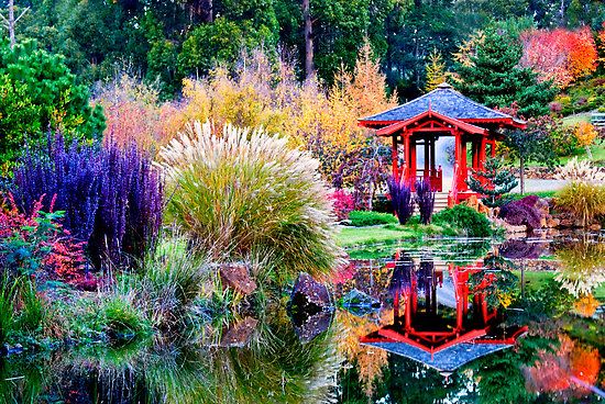 Colorful Japanese Garden