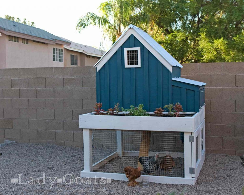 DIY Chicken Coop Plan