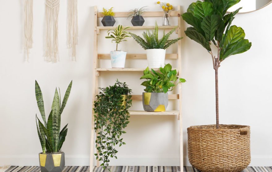 DIY Ladder Plant Stand