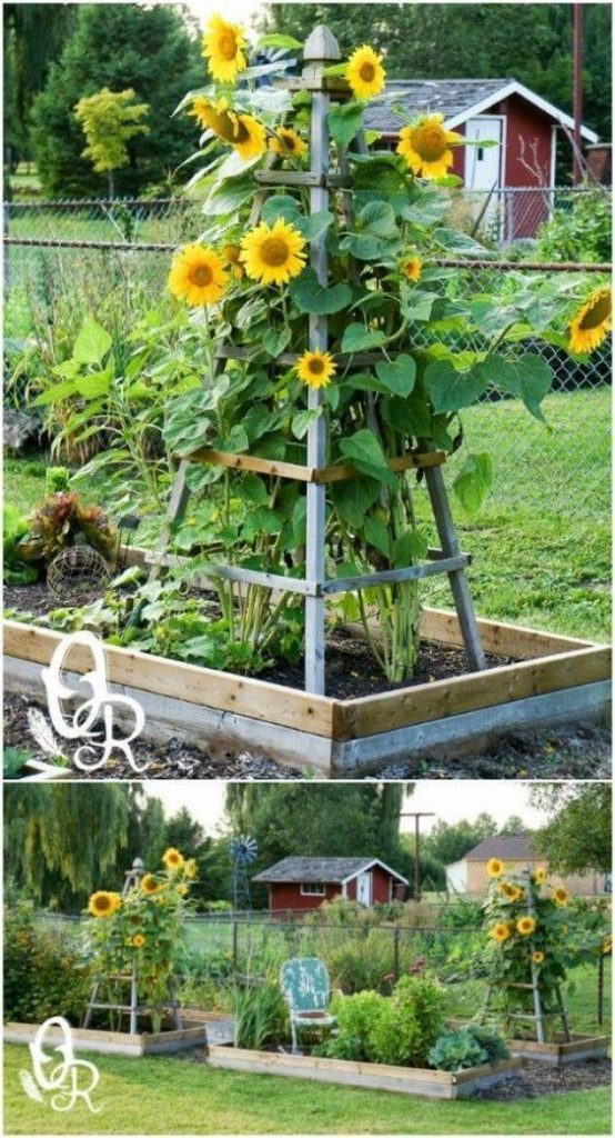 DIY Obelisk Garden Trellis