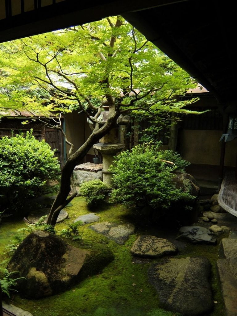 Enclosed Territory Japanese Garden