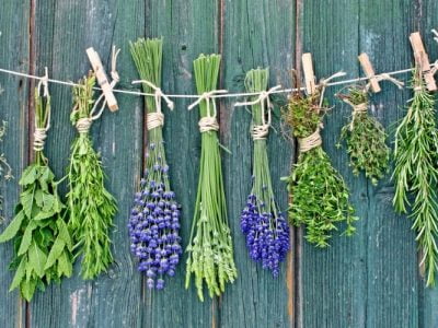 Everything You Need to Know About Herb Substitutes