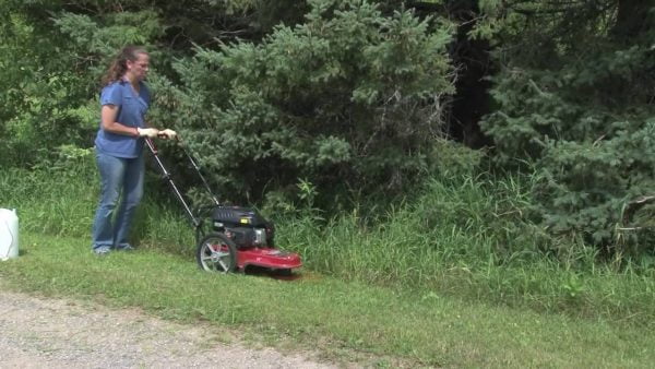 earthquake fields edge string mower