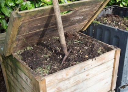 Firepit Ashes in The Soil