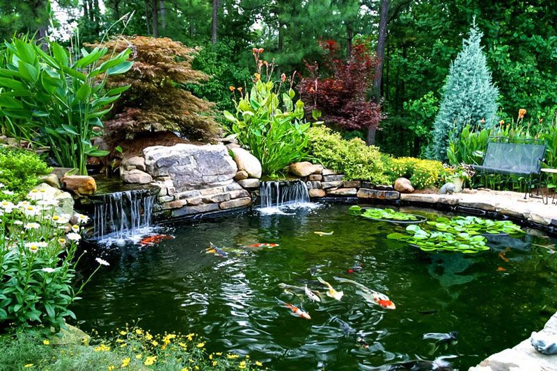 Fishpond or Koi Pond with a Beautiful Waterfall