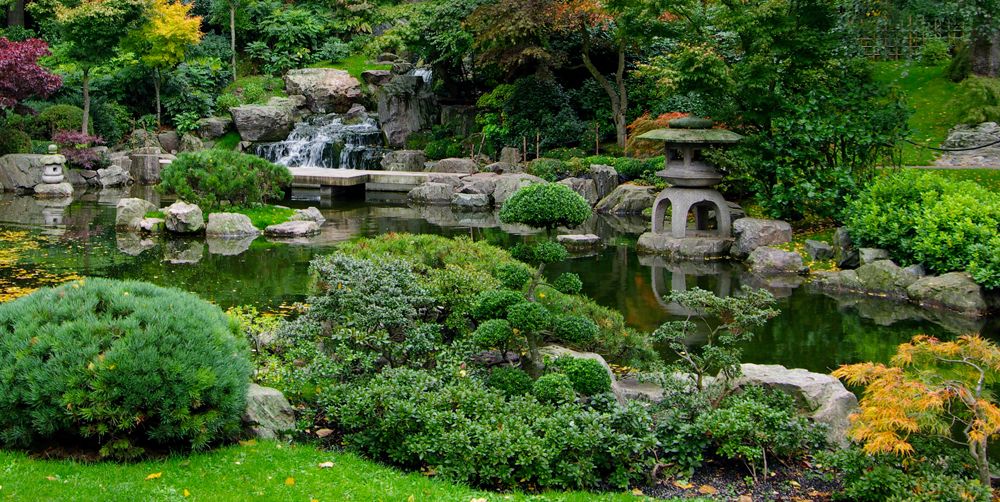 Full of Greenery Japanese Garden