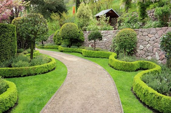 Garden Hedge Path 