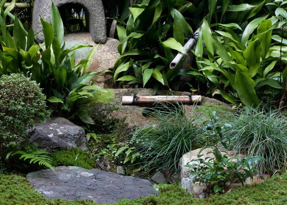 Grass plates japanese garden