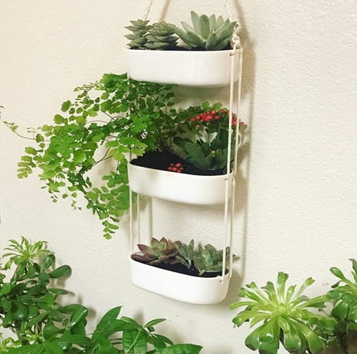 Hanging Herb Garden